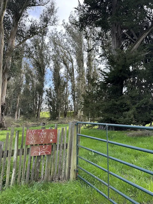 The Grove at Hands Full Farm 2
