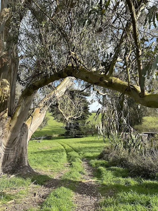 The Grove at Hands Full Farm 5