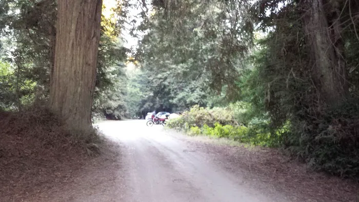 Reef Campground 1