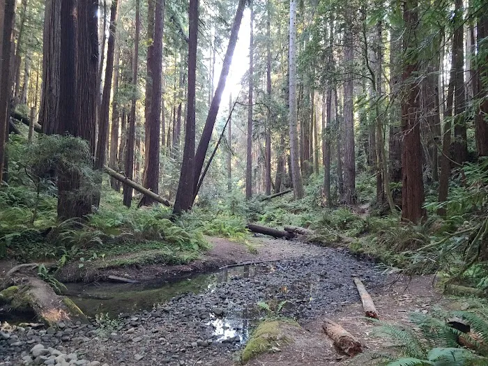 Stillwater Cove Campground 6