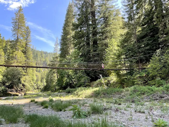 Camp Liahona Redwoods 5