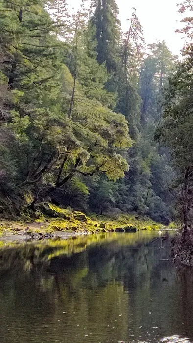 Camp Liahona Redwoods 6