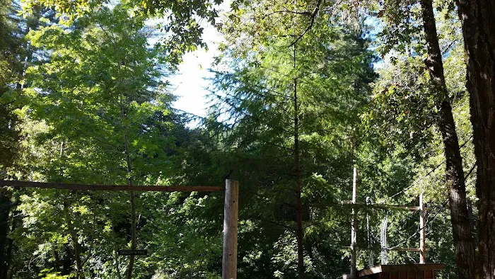 Camp Liahona Redwoods 4