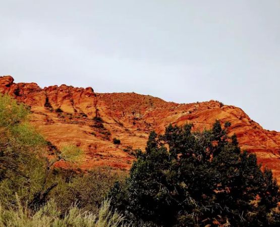 Red Cliffs Campground