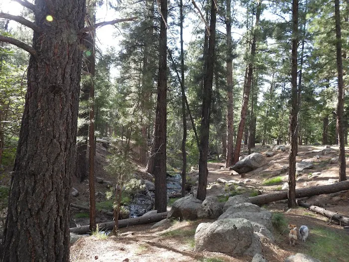 Mitt Moody Campground 0