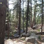 Mitt Moody Campground