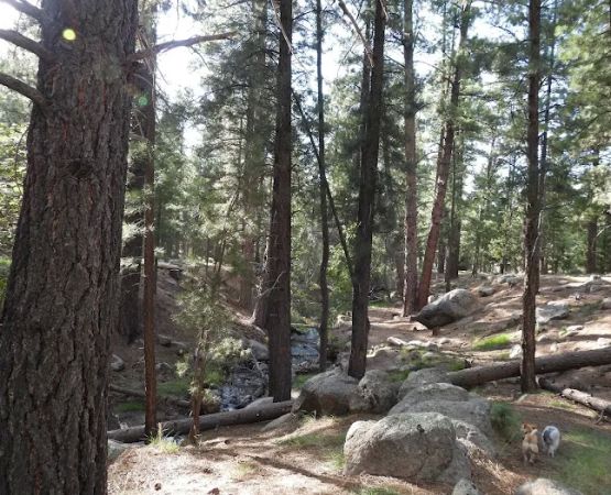 Mitt Moody Campground
