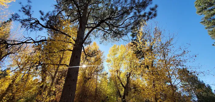 Mitt Moody Campground 5