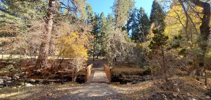 Mitt Moody Campground 2