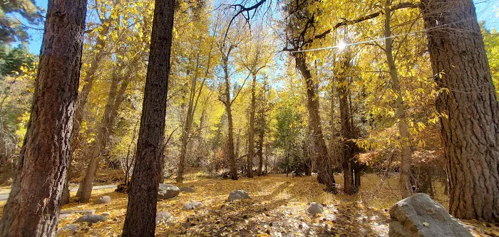 Mitt Moody Campground 6