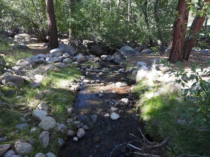 Mitt Moody Campground 8