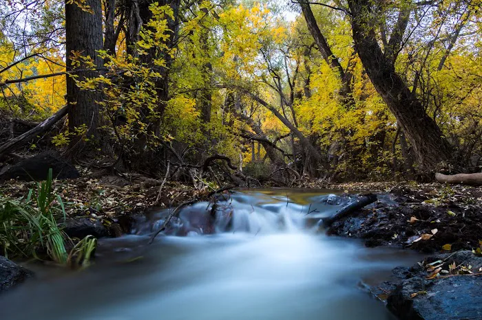Baker Dam Recreation Area 7