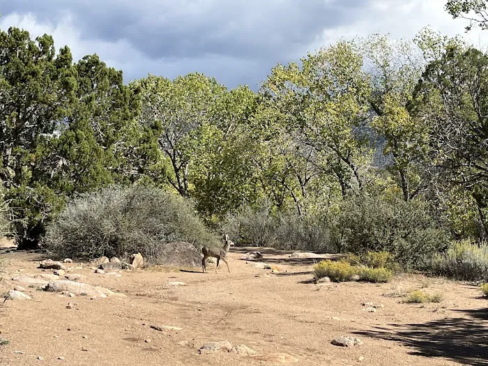 Baker Dam Recreation Area 5