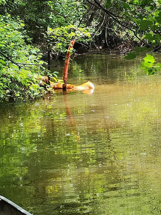 Wood Widgeon Farm 2