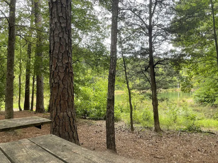 Calhoun Falls Campground 6