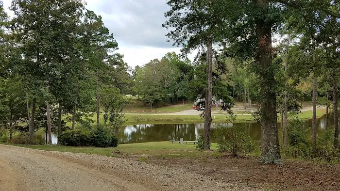 Camp Harmony 8