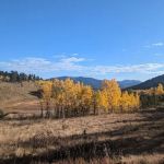 Camp Always Choose Adventures