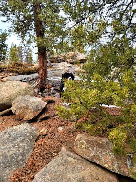 BURNING BEAR CAMPGROUND 0