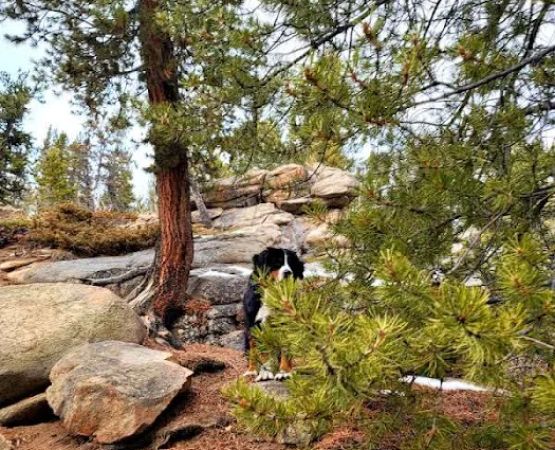 BURNING BEAR CAMPGROUND