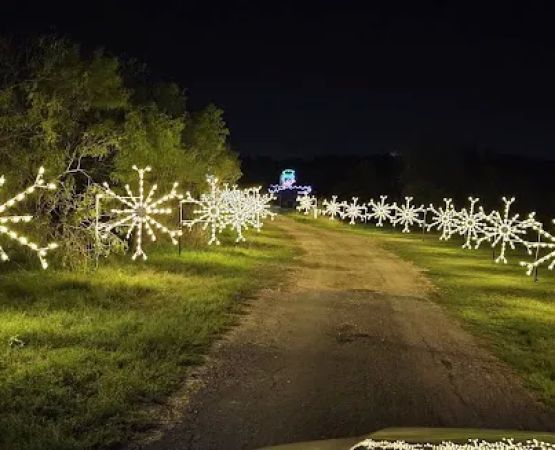 Campfire Lights