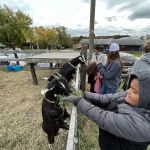 Hoofbeat Ridge Camps