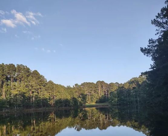 FireFly Farm and Camp