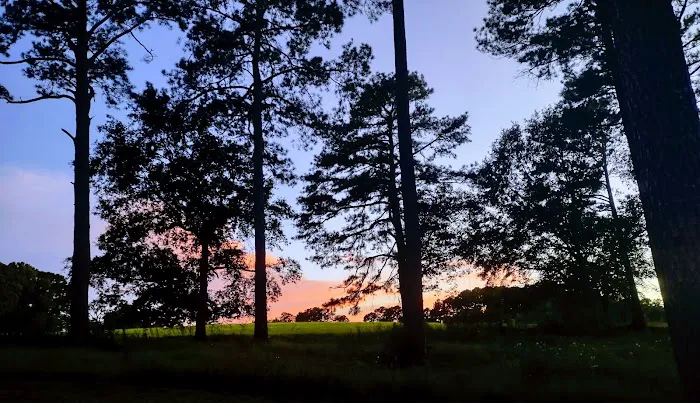 FireFly Farm and Camp 1