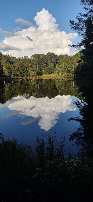 FireFly Farm and Camp 2