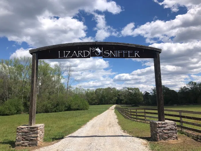 Lizardsniffer 4