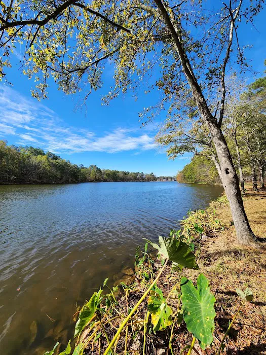 Parks Ferry Public Recreation Area 5