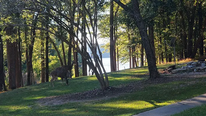 Parks Ferry Public Recreation Area 3