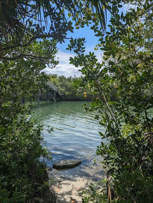 Scout Island 2