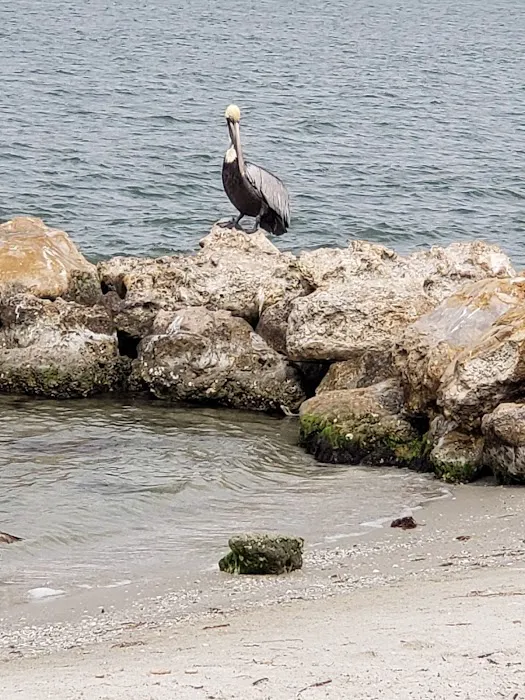 Sebastian Inlet State Park Campground 4