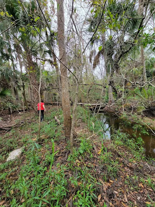 Pellizze Park 2