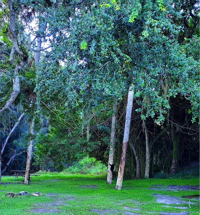 Vero Beach Kamp Inc 7