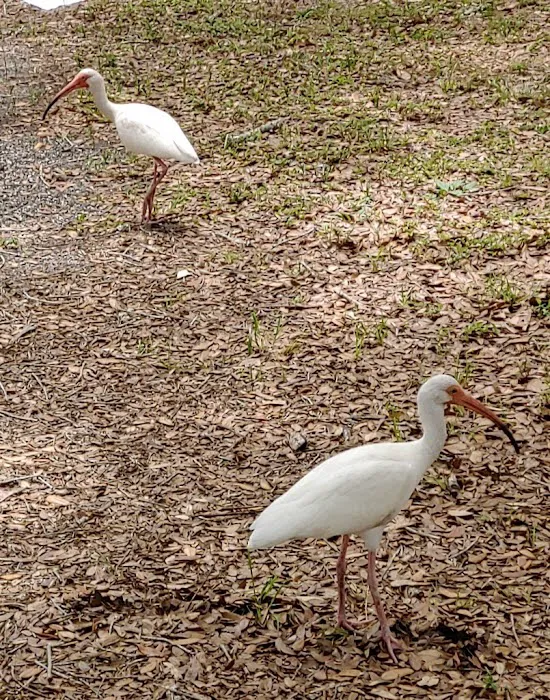 Vero Beach Kamp Inc 5