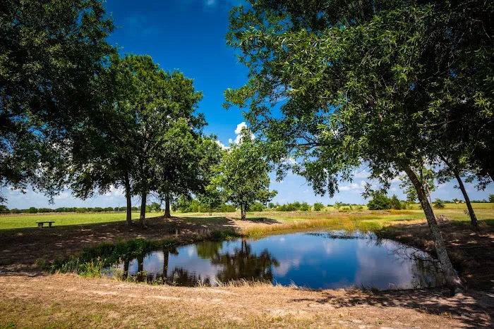 Thousand Trails Lake Tawakoni 8