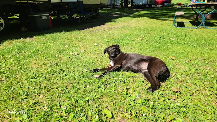 Camp S'more Campground 2