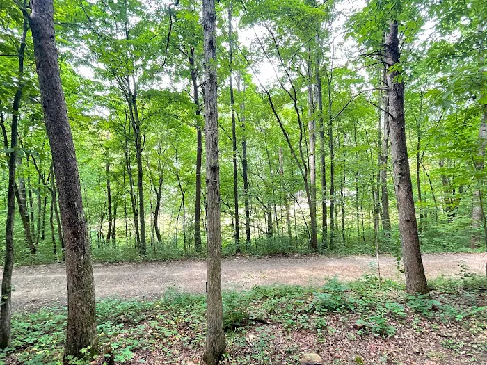 Running Water Creek 7