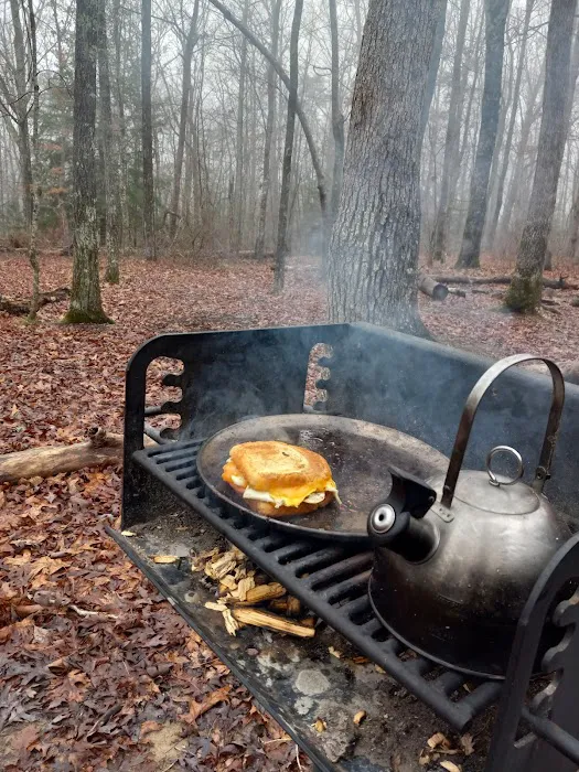 Cloudland Canyon Pioneer Campsites 4