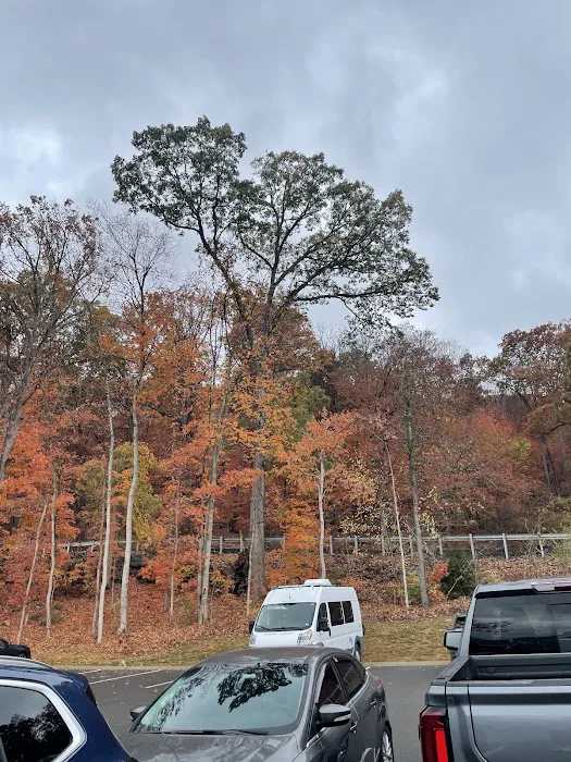 Cloudland Canyon Pioneer Campsites 3