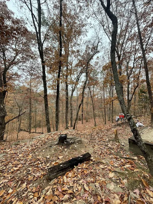 Cloudland Canyon Pioneer Campsites 6