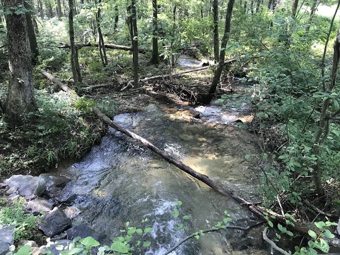 Weiser State Forest Greenland Tract 5