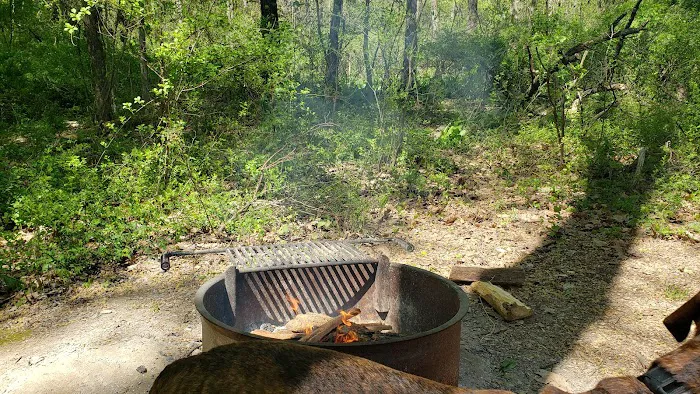 TT Campground 4
