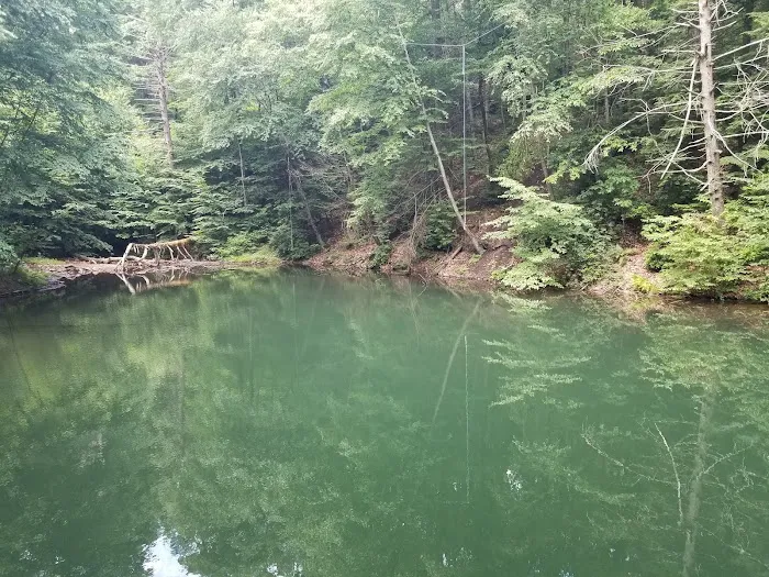 Weiser State Forest (Halderman Tract) Campsite H4 Tract) 2
