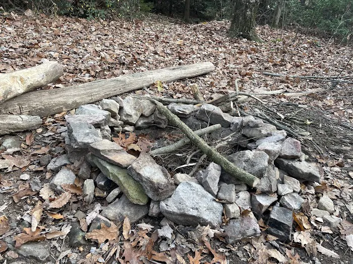 Weiser State Forest (Halderman Tract) Campsite H4 Tract) 7