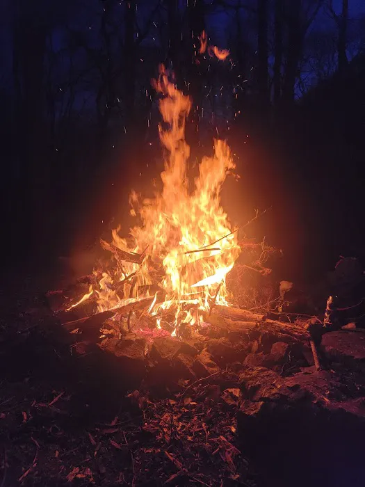 Weiser State Forest (Halderman Tract) Campsite H4 Tract) 4