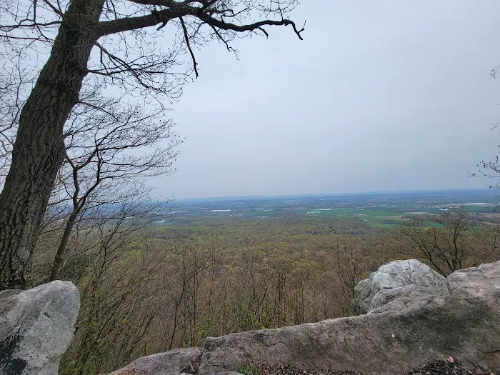 Weiser State Forest (Halderman Tract) Campsite H4 Tract) 0