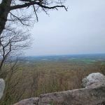 Weiser State Forest (Halderman Tract) Campsite H4 Tract)