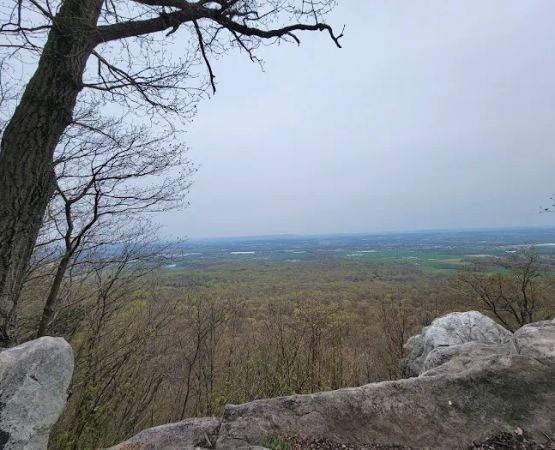 Weiser State Forest (Halderman Tract) Campsite H4 Tract)